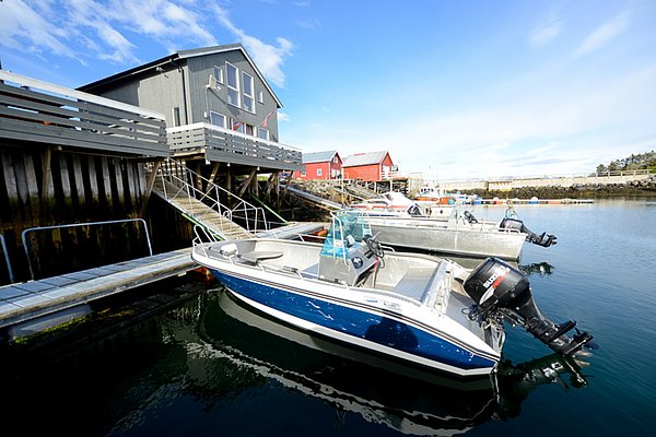 Nordland, Norwegen: Malerischer Hafen mit Anlegeplätzen, mehreren Booten und traditionellen Holzhäusern. Ideal für einen idyllischen Angelurlaub und Erkundungstouren auf dem ruhigen Wasser. Perfekter Startpunkt für Abenteuer im hohen Norden.