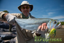 Ein Angler präsentiert stolz seinen Fang, einen Barrakuda, in malerischer Landschaft Südwest-Norwegens. Perfektes Ziel für Angelreisen und Meeresangeln mit Andrees Angelreisen. Abenteuer und reiche Fangchancen garantiert.