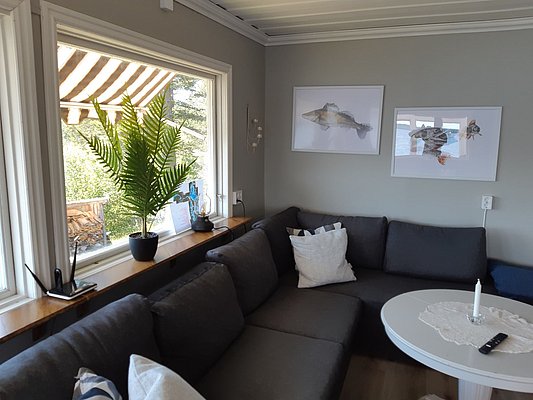 Gemütliches Wohnzimmer mit grauem Ecksofa, rundem Tisch, großem Fenster mit Blick auf grüne Pflanzen und zwei gerahmten Bildern an der Wand, darunter eines mit erkennbaren Fischarten.