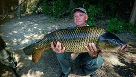 Ein Mann hält stolz einen großen Karpfen in den Händen, während er an einem bewaldeten Seeufer kniet.