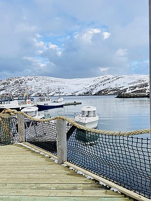 Hafen in Nord-Norwegen mit schneebedeckten Hügeln, ruhigem Wasser und Fischerbooten. Ideal für Angelreisen in faszinierender, nordischer Landschaft. Perfektes Ziel für Abenteurer und Naturfreunde auf der Suche nach Entspannung und großem Fang.