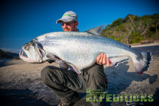 Ein Angler präsentiert stolz einen großen, silbernen Fisch am Ufer in Südwest-Norwegen. Klare, blaue Himmel und grüne Landschaft im Hintergrund. Perfekter Ort für Angelreisen und Outdoor-Abenteuer.