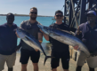 Vier Angler posieren stolz mit ihren großen Fängen in Boa Vista, Kapverden, vor einem malerischen, tiefblauen Meerespanorama – ideal für Angelreisen und Meeresangeln.