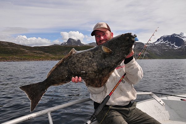 In Nord-Norwegen hält ein Angler einen beeindruckenden Heilbutt in der malerischen Fjordlandschaft. Perfektes Ziel für einen unvergesslichen Angelurlaub inmitten majestätischer Natur. Petri Heil – sorglos angeln weltweit!