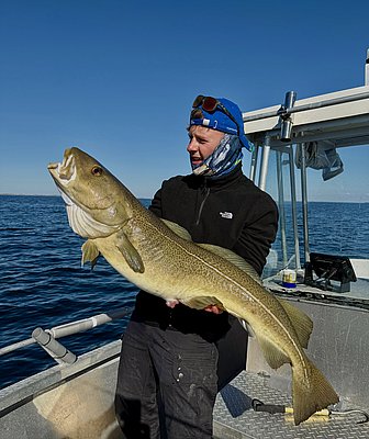 Ein Angler hält einen großen Kabeljau auf einem Boot vor der Küste von Hitra, Norwegen. Perfekter Angelurlaub mit beeindruckendem Fang und atemberaubender Meereskulisse. Petri Heil – sorglos angeln weltweit!
