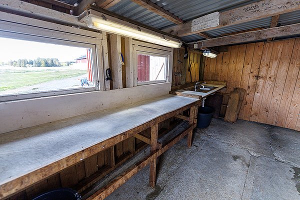 Rustikale Fischverarbeitungsstation in der Region Hitra, Norwegen. Holzarbeitsfläche, Spüle und natürliche Beleuchtung bieten ideale Bedingungen für Angler zur Fischvorbereitung. Perfekt für einen besonderen Angelurlaub in malerischer Umgebung.