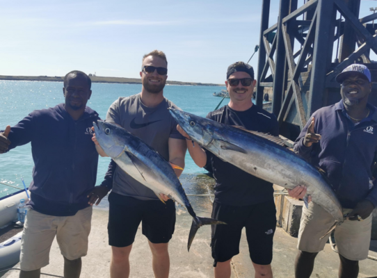 Vier Angler präsentieren stolz ihren Fang an einem sonnigen Tag in São Vicente, Kapverden. Im Hintergrund das blaue Meer und der Pier, perfektes Ambiente für einen erfolgreichen Angelurlaub.