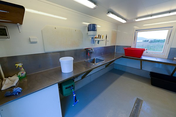 Moderne Angelküche in Nord-Norwegen: Edelstahloberflächen, Spüle, Messer, Schneidbretter und Reinigungsmittel, perfekt zum Filetieren. Lichtdurchflutetes Fenster mit Blick, ideal für Angler zum Vorbereiten frischer Fänge. Funktional und sauber gestaltet.