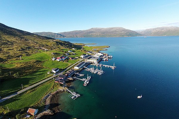 Luftaufnahme eines malerischen Fischerdorfes in Nord-Norwegen, umgeben von grünen Hügeln und klarem, blauem Wasser. Perfekter Ausgangspunkt für Angelreisen, ideal für Abenteuerlustige und Naturliebhaber. Entdecke unberührte Schönheit und reiche Fanggründe.