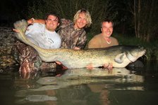 Drei Personen posieren im Wasser mit einem großen Wels, den sie gefangen haben.