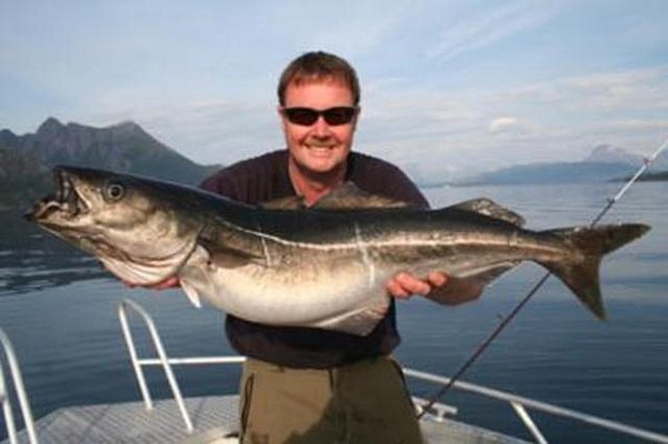 Ein begeisterter Angler hält einen großen Fisch auf einem Boot im malerischen Nordland, Norwegen. Im Hintergrund sind beeindruckende Berge und klares Wasser zu sehen – perfekter Ort für Angelreisen.