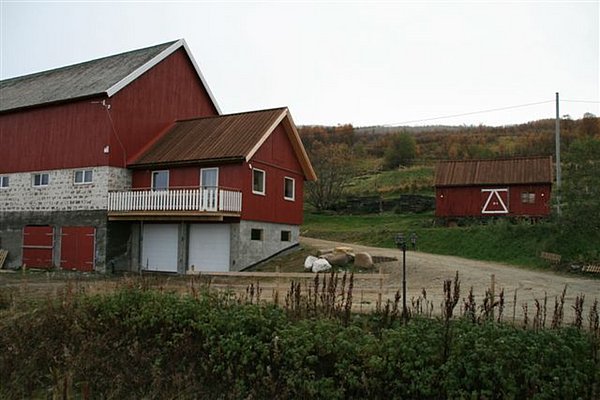 Rote Holzhäuser in malerischer Landschaft, Nord-Norwegen. Ländliche Idylle mit grünen Wiesen und rustikalen Gebäuden, typische Architektur der Region. Perfekte Kulisse für entspannte Angelreisen und Naturerlebnisse.