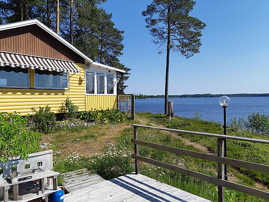 Eine gelbe Holzhütte mit gestreifter Markise steht an einem sonnigen Seeufer mit blühenden Gänseblümchen und Kiefern im Hintergrund.