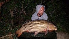 Eine Person in grauem Hoodie hält einen großen Karpfen in einer nächtlichen Umgebung vor einem Waldhintergrund.
