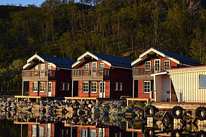 Drei rote, traditionelle Holzhäuser am Wasser, umgeben von grünen Bäumen in Nord-Norwegen, strahlen in der Abendsonne. Perfekte Kulisse für Angelreisen und Naturerlebnisse in eindrucksvoller Umgebung.
