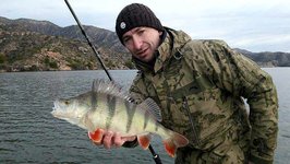 Ein Angler in Tarnkleidung hält einen großen Flussbarsch vor einer malerischen See- und Berglandschaft.
