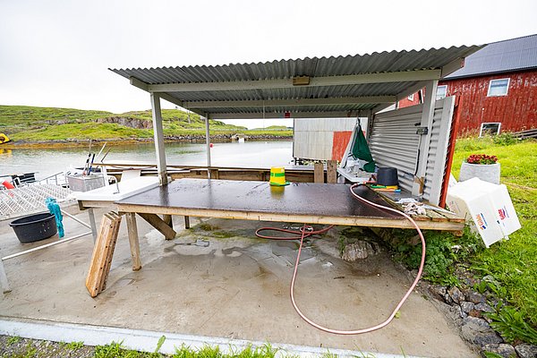 Blick auf einen rustikalen Filetiertisch am Wasser in Nordland, Norwegen. Ideal für Angler, um frisch gefangenen Fisch zu verarbeiten, umgeben von idyllischer Natur und einem typischen roten Gebäude im Hintergrund.