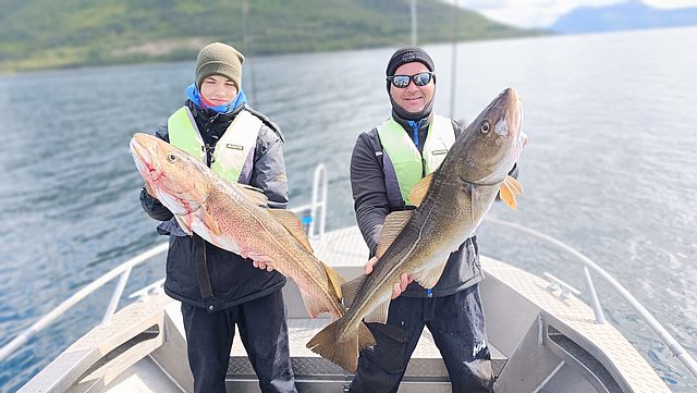 Angelurlaub in Nord-Norwegen: Zwei Angler stehen auf einem Boot, präsentieren große Fische (mutmaßlich Dorsch), umgeben von malerischer Kulisse. Perfekt für Meeresangeln und Abenteuersuchende.