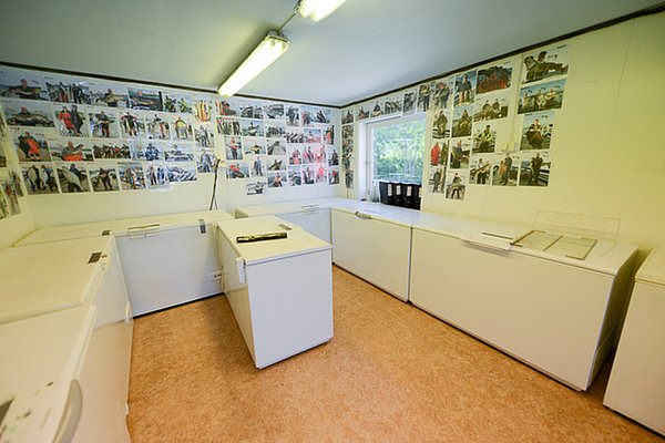 Ein Fischverarbeitungsraum in Nordland, Norwegen, mit mehreren Gefriertruhen und beeindruckender Sammlung an Fischfangfotos an den Wänden. Perfekt für Angelreisen und Meeresangler, die ihren Fang frisch halten möchten.