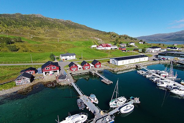 Malerrisches Fischerdorf in Nord-Norwegen mit roten Holzhäusern, steilen grünen Hügeln und einem klaren Hafen voller Segelboote. Perfekter Spot für Angelurlaub und Naturerleben.