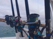Drei moderne Angelruten mit blauen Rollen in einem Boot bei Sao Vicente, Kapverden. Sie ahnen reiche Fangmöglichkeiten im kristallklaren Wasser und wecken Abenteuerlust auf unvergessliche Angelreisen.