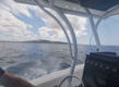 Blick vom Boot auf das blaue Meer bei São Vicente, Kapverden, unter fluffigen Wolken; im Hintergrund ist die Küste mit sanften Hügeln sichtbar. Perfekte Kulisse für Angelreisen und Meeresabenteuer.