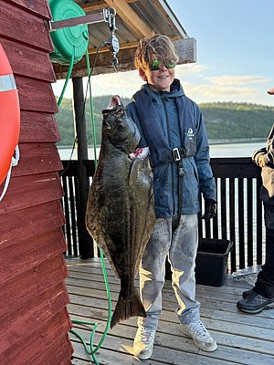Ein Angler in Nord-Norwegen posiert stolz mit einem großen Heilbutt vor einer malerischen Fjordlandschaft. Perfektes Ziel für Angelurlaub und unvergessliche Fangchancen. Petri Heil – Angeln in Norwegen!