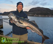 Ein Angler hält stolz einen großen Fisch, vermutlich eine Köhlerart, mit einer malerischen Fjordlandschaft im Hintergrund; im Bild ist das Logo von Andree’s Angelreisen zu sehen. Ein Angler hält stolz einen großen Fisch, vermutlich eine Köhlerart, mit einer malerischen Fjordlandschaft im Hintergrund; im Bild ist das Logo von Andree’s Angelreisen zu sehen.