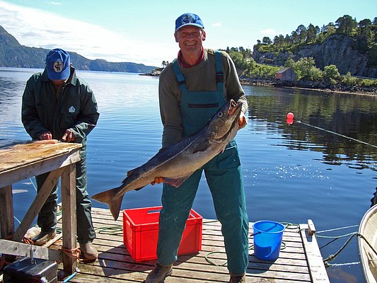 Ein stolzer Angler hält einen großen Fisch auf einem Steg in der malerischen Fjordlandschaft von Hitra, Norwegen. Perfekter Ort für einen erfolgreichen Angelurlaub.