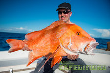 Ein Angler hält stolz einen großen Rotbarsch vor der malerischen Küste Süd-Norwegens. Strahlend blauer Himmel und ruhiges Meer bieten ideale Bedingungen für unvergessliche Angelabenteuer. Perfekter Angelurlaub in Norwegen!