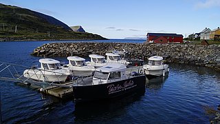 Mehrere moderne Boote liegen in einem ruhigen Hafen vor felsiger Landschaft, umgeben von einigen bunten Gebäuden im Hintergrund unter einem klaren blauen Himmel.