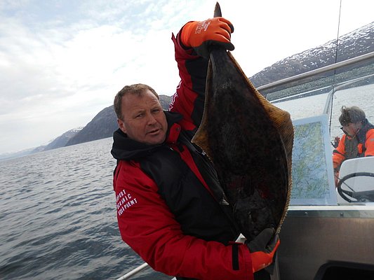 Ein Angler hält einen beeindruckenden Heilbutt auf einem Boot in der atemberaubenden Küstenlandschaft Nordlands, Norwegen. Perfekter Angelurlaub für begeisterte Meeresangler. Deze Bild strahlt Abenteuerlust und erfolgreiche Fangchancen aus.
