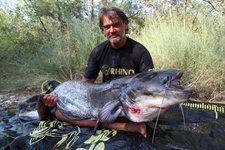 Ein Mann hält einen großen Wels am Ufer eines Flusses in einer natürlichen Umgebung.