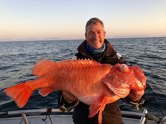 Ein Angler hält einen großen, orangefarbenen Fisch in Nord-Norwegen bei Sonnenuntergang. Im Hintergrund das offene Meer und entfernte Berge. Perfekte Bedingungen für einen unvergesslichen Angelurlaub und beeindruckende Fänge.