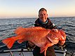 Ein Angler hält einen großen, orangefarbenen Fisch in Nord-Norwegen bei Sonnenuntergang. Im Hintergrund das offene Meer und entfernte Berge. Perfekte Bedingungen für einen unvergesslichen Angelurlaub und beeindruckende Fänge.