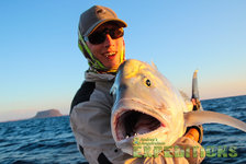 Ein Angler hält einen großen Fisch im Sonnenuntergang vor der Küste Süd-Norwegens. Das Meer glitzert, während im Hintergrund eine Insel zu sehen ist. Ideal für Angelurlaub und Meeresangeln.