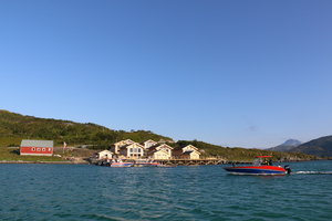 Küstenblick in Nord-Norwegen: malerische Holzhäuser am Ufer, umgeben von grünen Hügeln und klarem blauen Wasser. Ein rotes Boot gleitet über den Fjord, ideal für Angelurlaub und Naturgenuss.