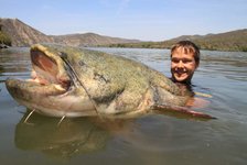 Ein Angler hält einen riesigen Wels in einem Gewässer, umgeben von malerischen Bergen unter klarem Himmel.