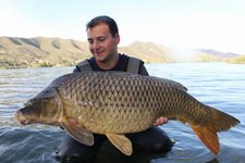 Ein Angler kniet im Wasser und hält einen großen Karpfen vor einer Berglandschaft im Hintergrund.