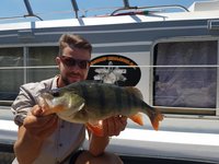 Eine Person hält einen Flussbarsch vor einem Boot in die Kamera.