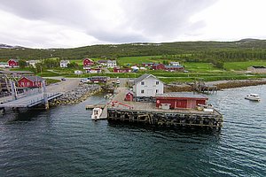 Kleiner Hafen in Nord-Norwegen, umgeben von roten Holzhäusern und grüner Landschaft, ideal für Angelreisen. Ruhiges Wasser mit Booten, malerische Küste und traditionelles nordisches Flair. Perfekter Ausgangspunkt für Meeresangeln-Abenteuer.