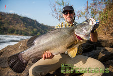 Ein Angler hält einen großen Fisch an einem Fluss in der Region Hälsingland, Schweden. Perfektes Ziel für Angelurlauber, die beeindruckende Fänge und wunderschöne Naturlandschaften erleben möchten. Ideal für Meeresangeln und Abenteuer.