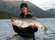 Namaycush Saibling gefangen am Yukon