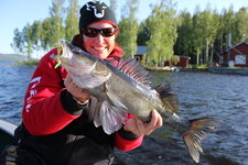 Eine Person in roter Jacke und schwarzer Mütze hält einen frisch gefangenen Zander vor einem malerischen See mit grünen Bäumen im Hintergrund.