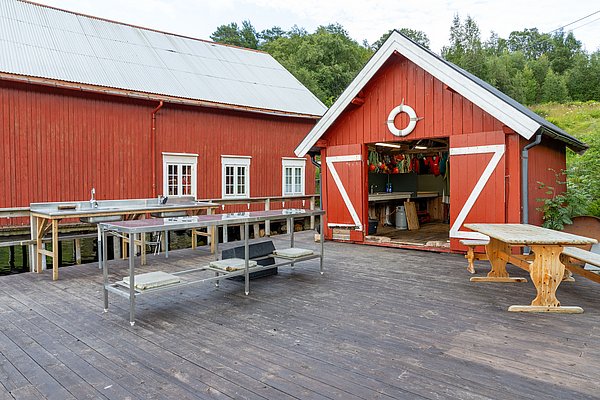 Rote Holzhütten am Wasser in Hitra, Norwegen. Perfekte Location für Angelreisen mit Fischreinigungstisch und gemütlicher Sitzgelegenheit, umgeben von üppigem Grün. Ideal für Abenteuer und Entspannung in der Natur.