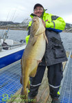 Ein Angler in einer neongelben Jacke hält einen großen Dorsch auf einem Bootssteg vor einer winterlichen Fjordlandschaft. Ein Angler in einer neongelben Jacke hält einen großen Dorsch auf einem Bootssteg vor einer winterlichen Fjordlandschaft.