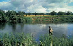 Eine Person steht an einem Fluss und angelt in einer idyllischen, bewaldeten Landschaft unter leicht bewölktem Himmel.