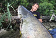 Ein lächelnder Angler hält einen großen Wels an einem bewachsenen Flussufer.