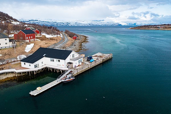 Küstenlandschaft in Nord-Norwegen mit malerischem Fjord, verschneiten Bergen und traditionellen Holzhäusern. Ein Steg mit Boot liegt am klaren Wasser, ideal für Angelreisen und Outdoor-Abenteuer. Ruhe und Natur pur genießen.