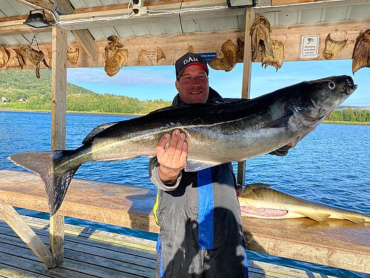 Ein Angler präsentiert stolz seinen großen Fisch in Nord-Norwegen vor idyllischer Fjordlandschaft. Perfektes Angelreiseziel für Abenteuer und reiche Fänge. Ideal für Meeresangeln-Enthusiasten.